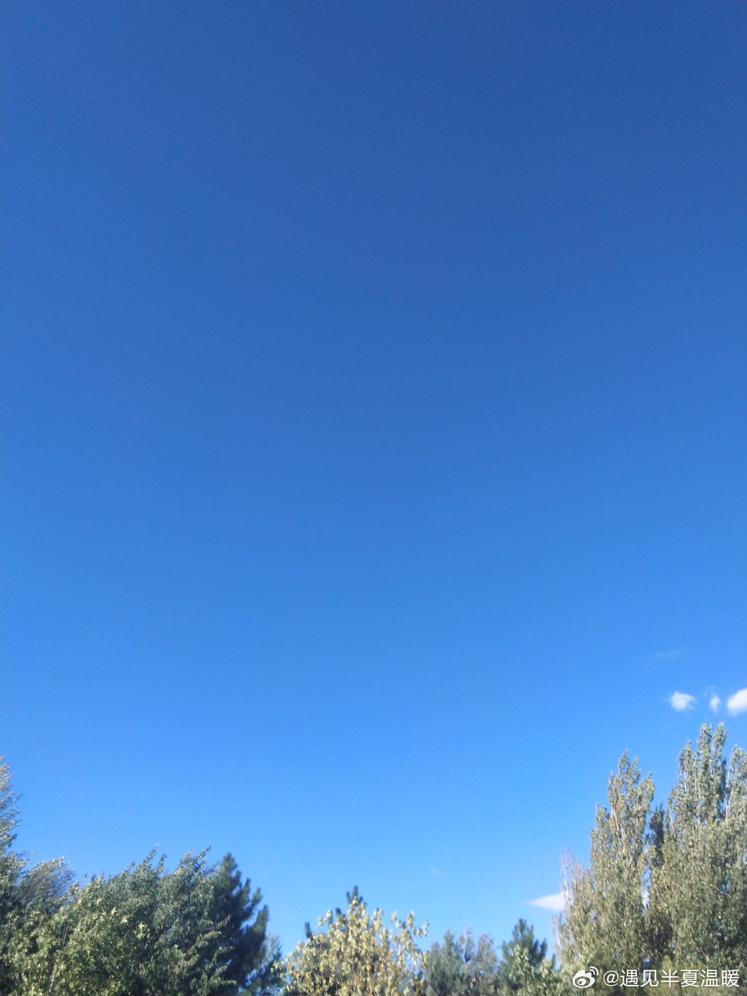 娃不上课后服务，让写情况说明，去年也写了，今年真是得寸进尺了，签名还得按手印，有