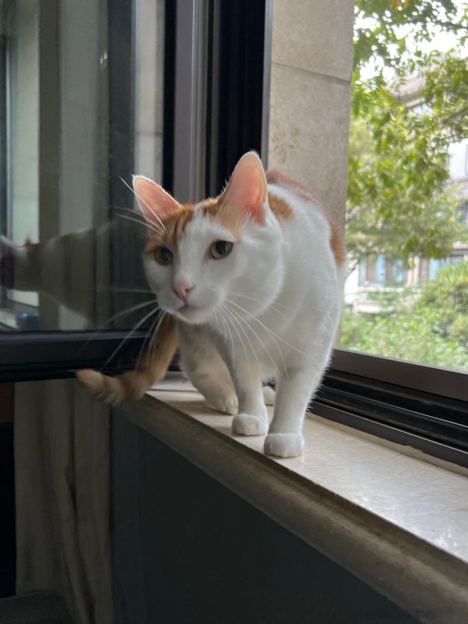 早知道这几天不放猴假了，工资三倍就三倍，又不是付不起[苦涩] ​​​