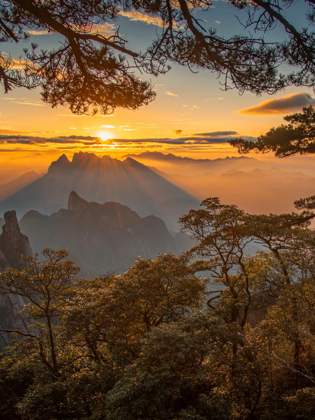 天呐！背会这首诗居然能免票游这么多景区！