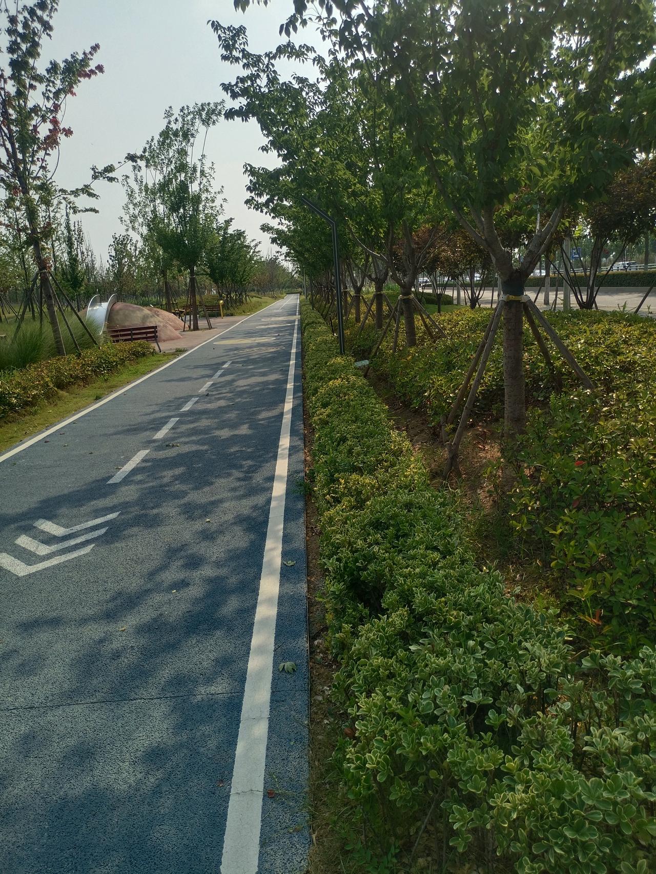 一位养老院院长说：“千万不要盼着自己活到100岁，也不必活到90岁以上，到了那个