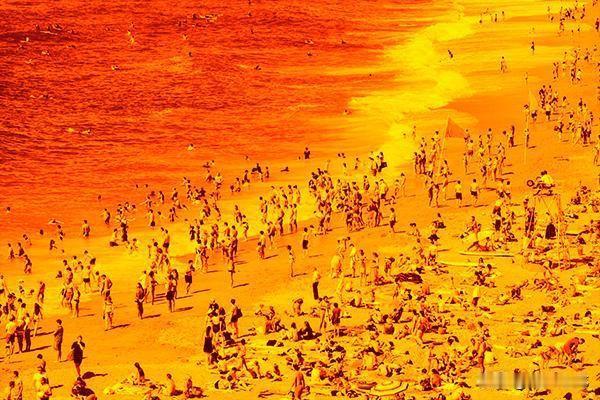 六月的太阳
文/滨城老龙
六月炎浪似火烧
金乌展翅下尘逍
翻腾热浪蒸禾地
未独蝉