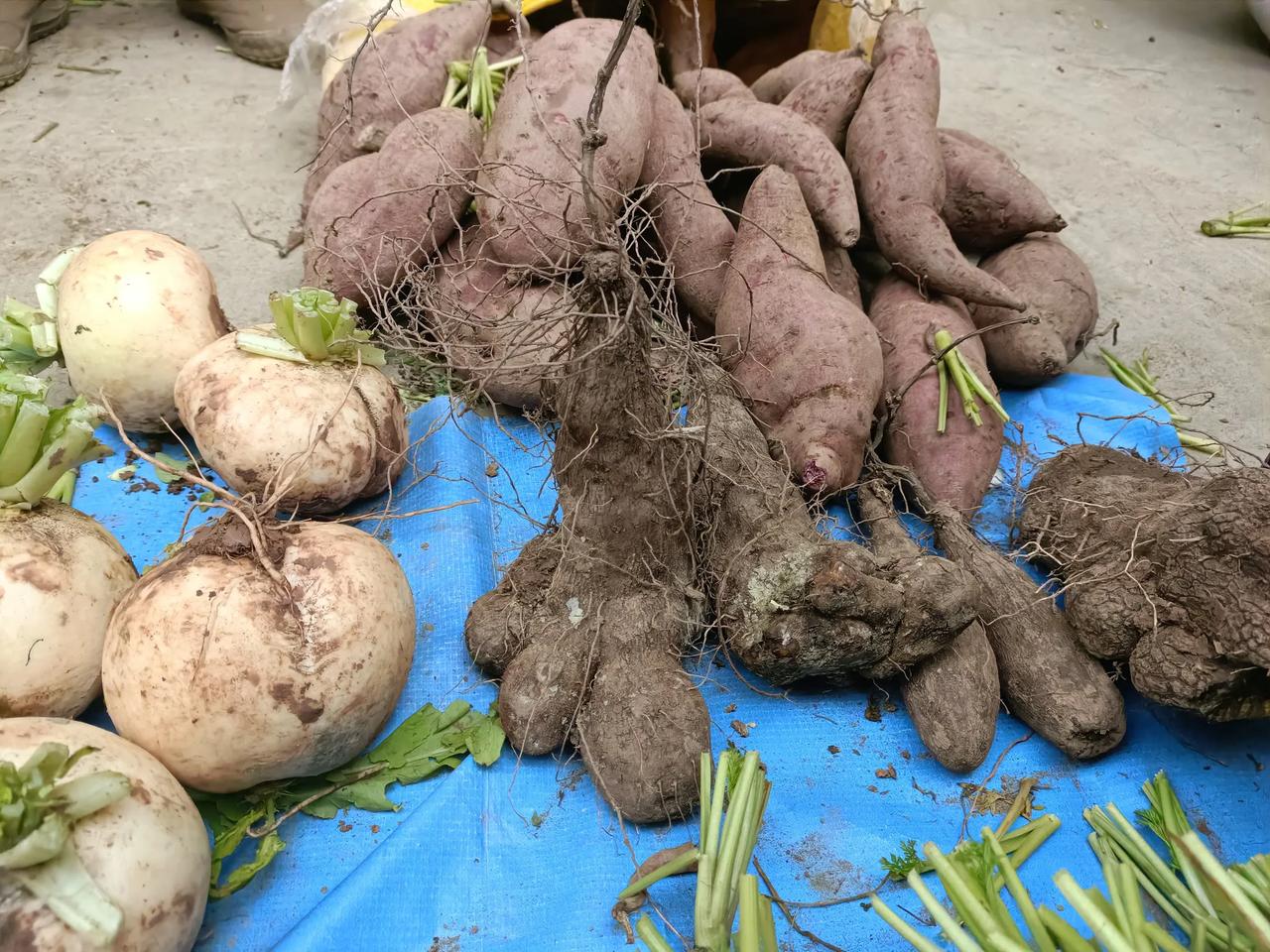 大家看这种蔬菜长得像不像一只脚？绵阳沈家坝某市场，每天上午总有许多人到这里买菜。