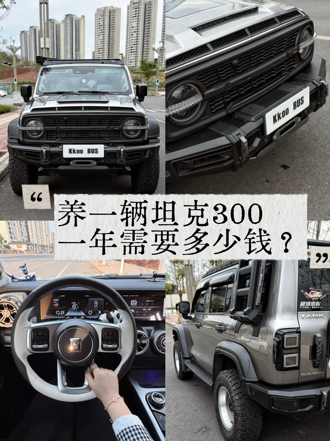 98年👧🏻养一辆坦克300一年用了多少钱？