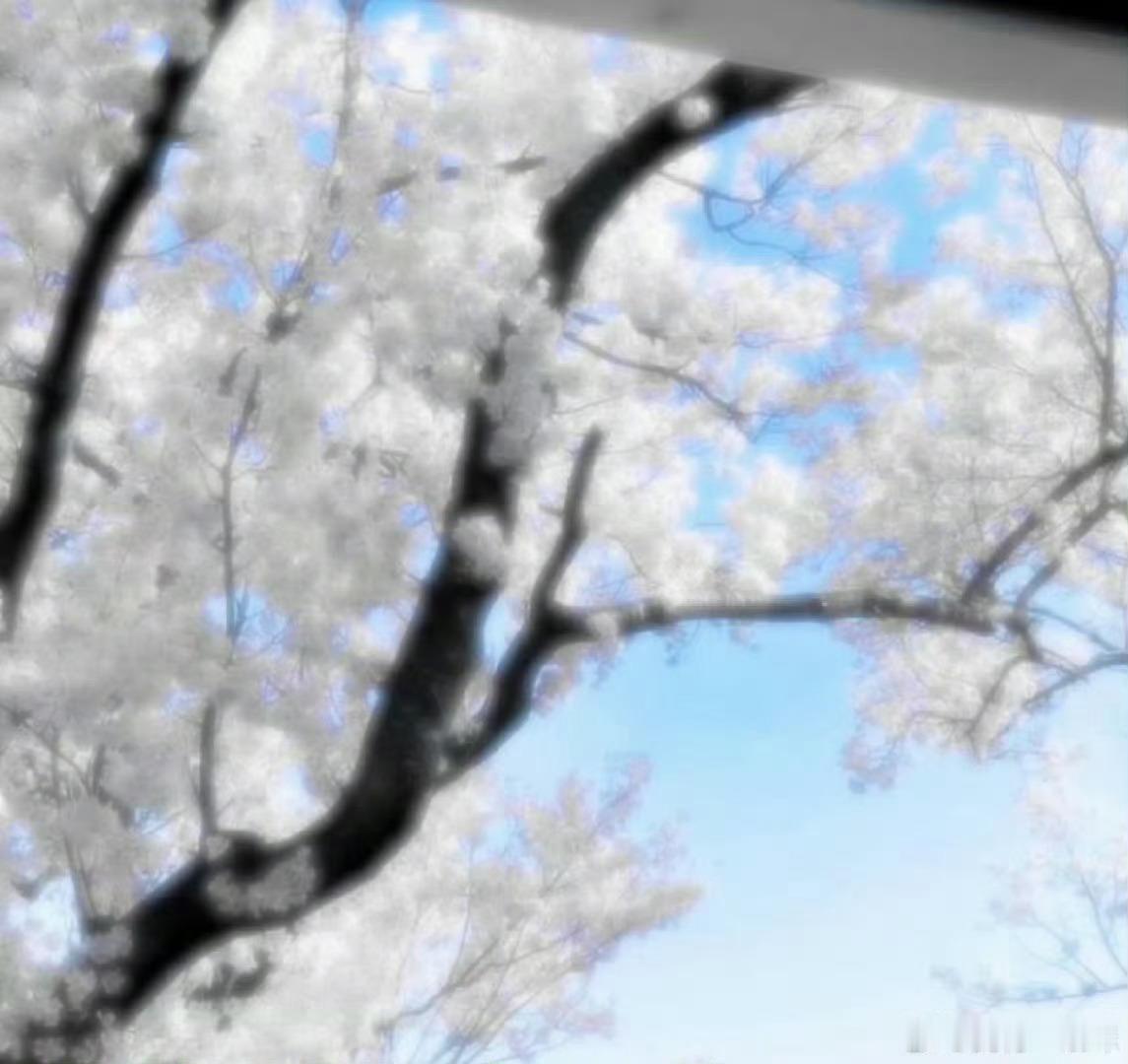 🫧-𝗬𝗼𝘂𝗿 𝘀𝗶𝗻𝗴𝗶𝗻𝗴 𝐡𝐞𝐚𝐥𝐞𝐝 