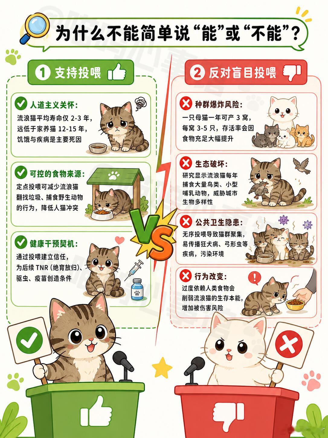 流浪猫狗虽然很可爱，但是也要科学投喂哦！.河南抗癌女生边治疗边救助流浪动物多地出