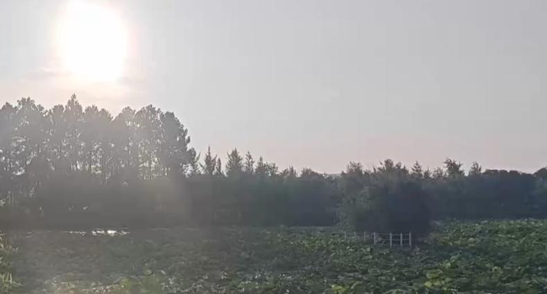 我国可能马上面临历史最高温
 
2026年这个夏天似乎把世界分成了两半。一边，欧