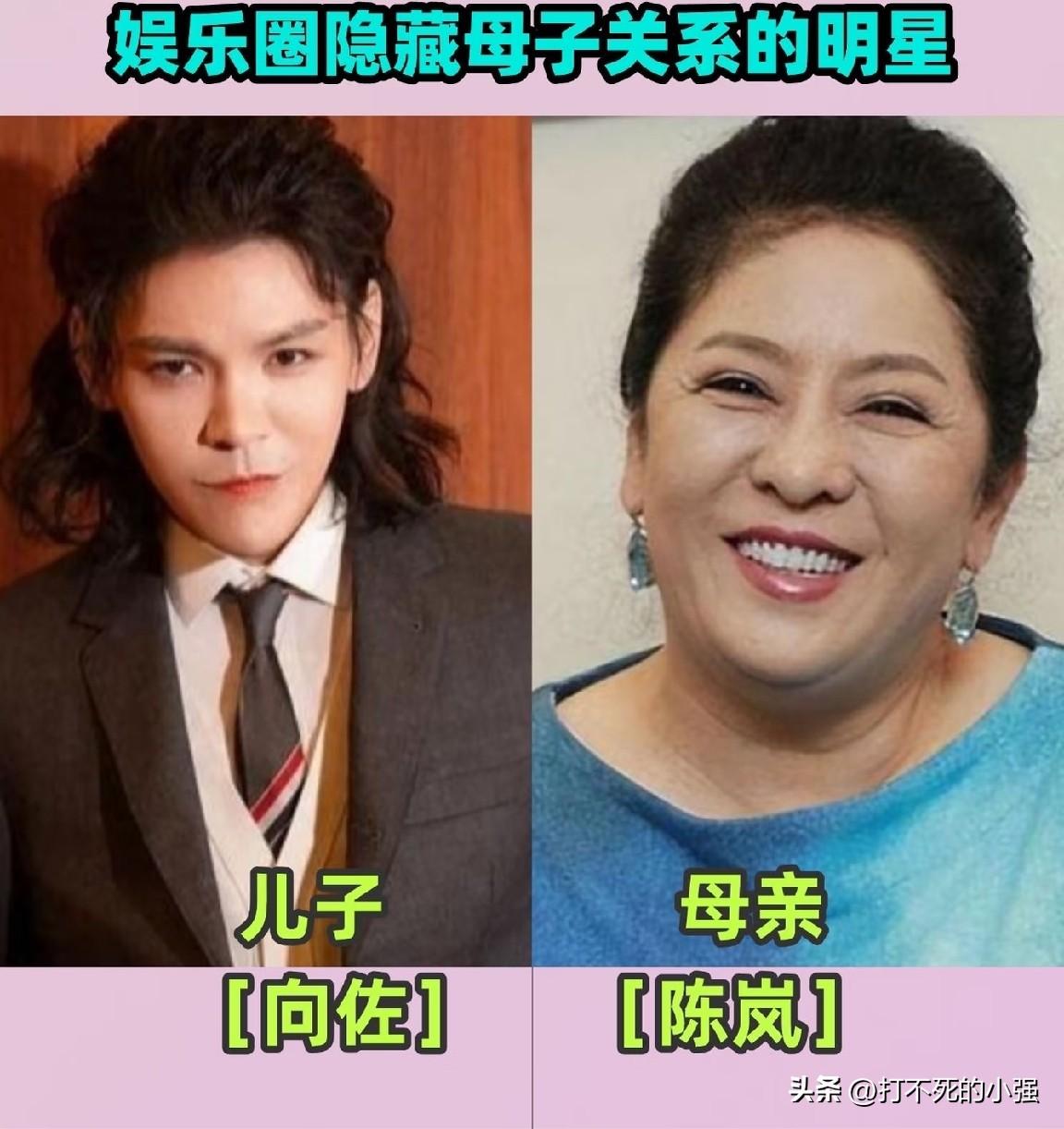 原来她们是母子！8对明星母子你认识几对？
都说儿子像妈妈，真的一点都不假！
向佐