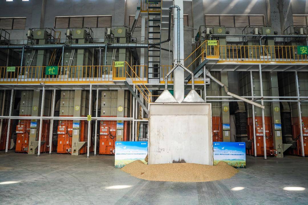 让每一粒米都“充满智慧”--太湖农业牵手浪潮云洲, 升级智造江南味稻