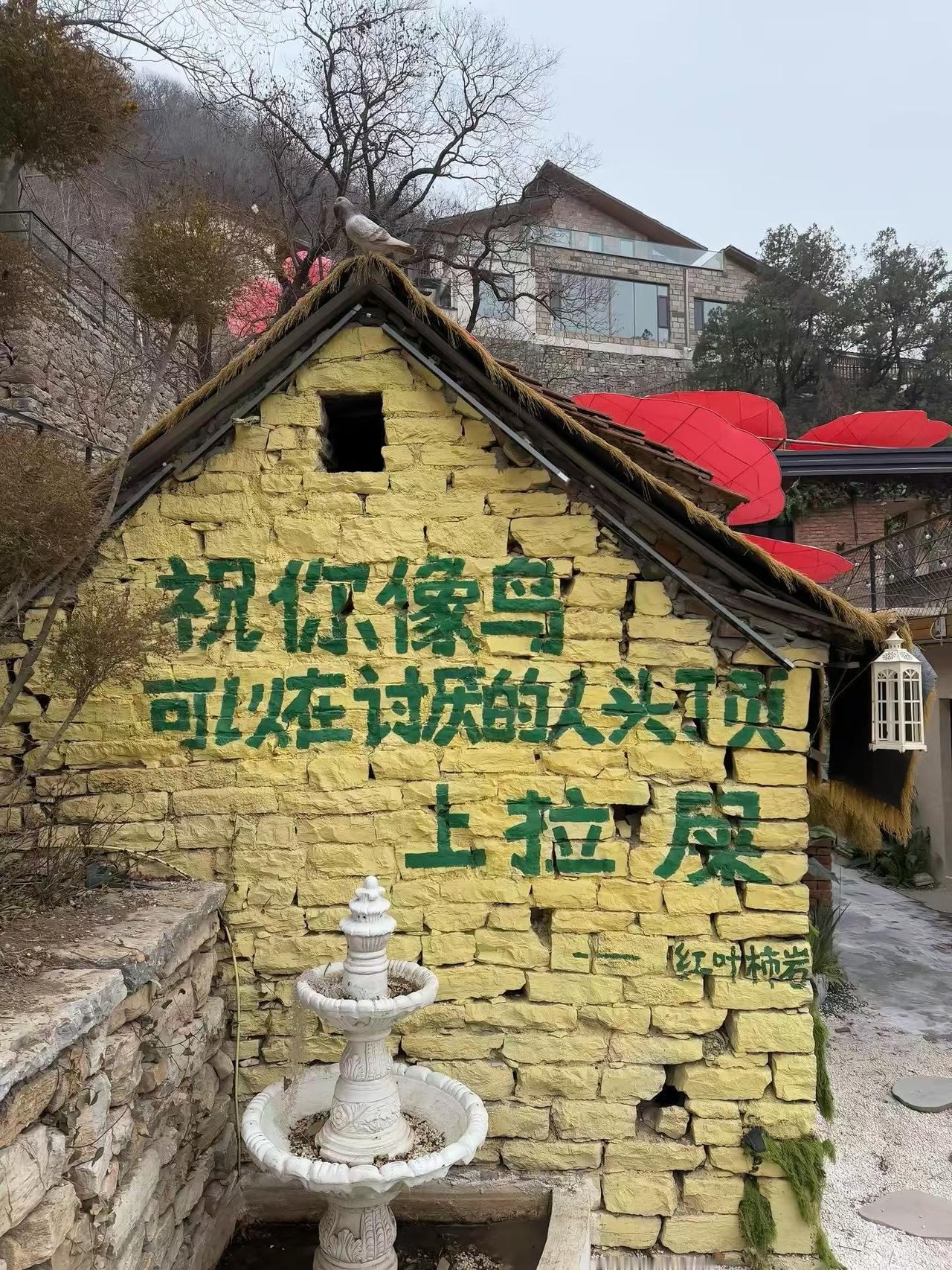 愿你如飞鸟，以自由的羽翼越过高空，将生活的负累都拂作身后的风。