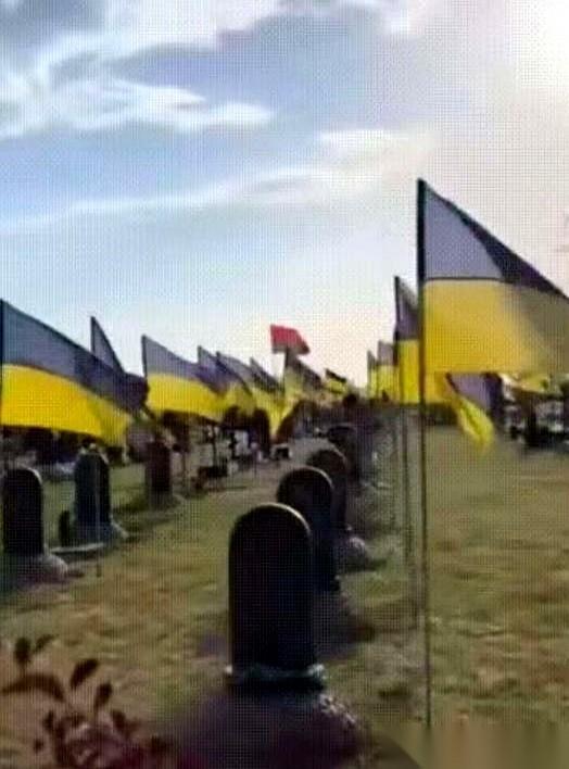 战场清理，翻开阵亡士兵的口袋，结果发现一堆哥伦比亚、波兰、英国的身份证。
我跟你