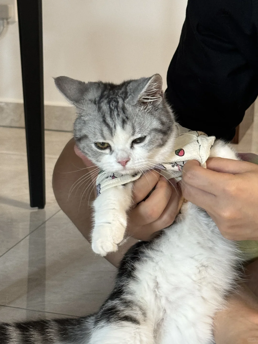 谁稀罕新衣服呀！