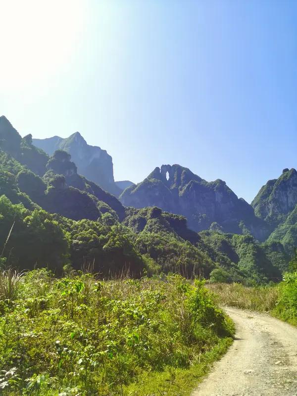 10月28日，“张家界七星山骆驼杯”荒野求生赛第20天，唯一女选手“冷美人”体检