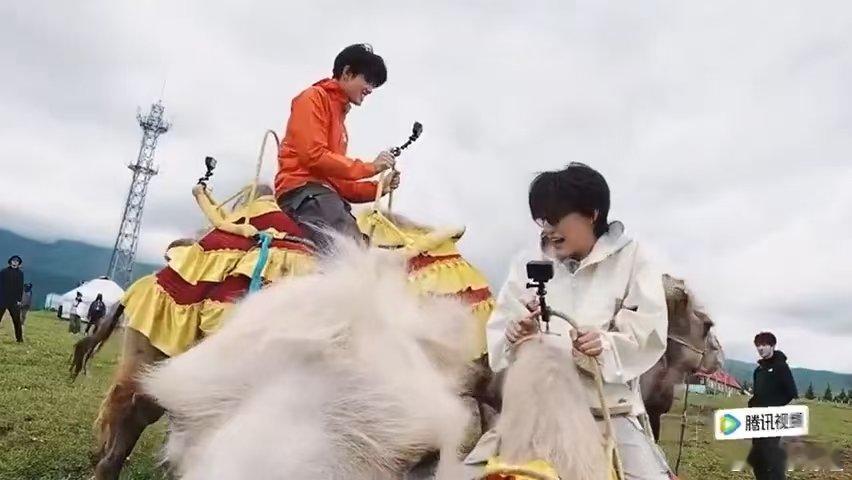 张极的骆驼疯了慌的是张泽禹 原本悠闲的沙漠牧民体验，因为骆驼突然暴躁吐口水急转直
