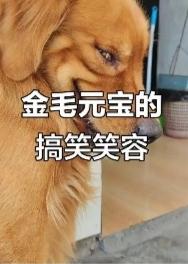 凌晨五点的楼道还浸在墨色里，李娟被一阵细碎的拖拽声惊醒。拖鞋刚蹭到地面，玄关处那