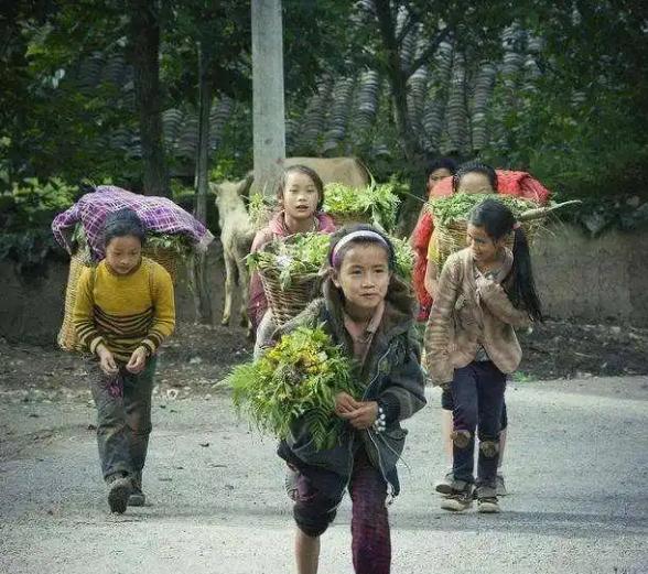 为什么有钱人家的孩子一般长相都不错？这些孩子一眼就能看出来是富人家的孩子，反而有