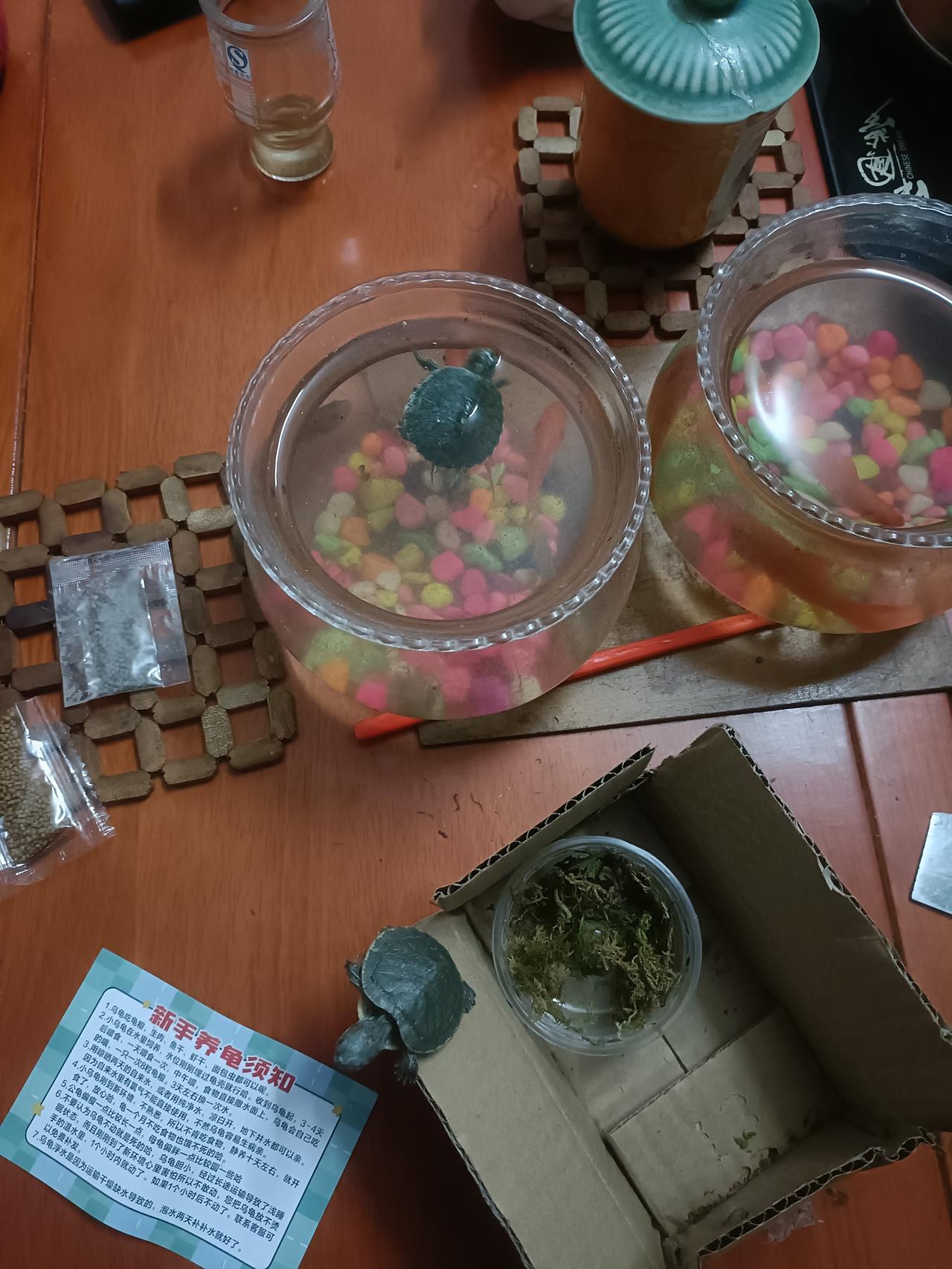 喜欢养些小动物，陶冶性情。[呲牙]