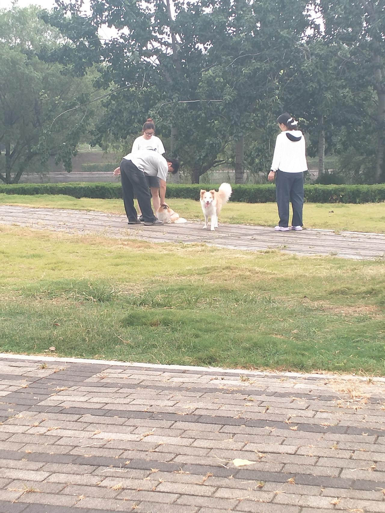 随手拍。