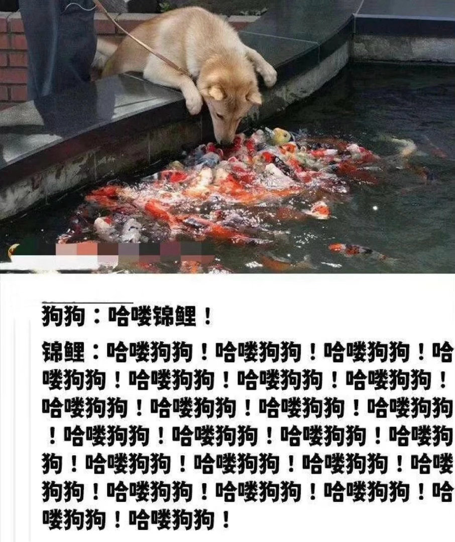 这是善旴和我们 
