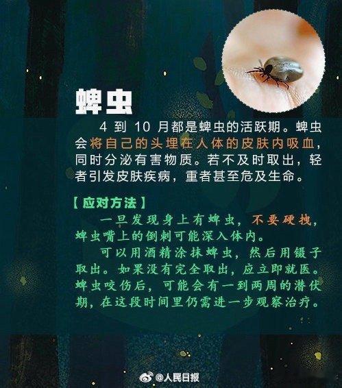 【转发周知！#飞虫落身上不要随意拍打#】飞虫落在身上怎么办？拍打、揉搓、压碎等方