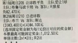 满堂红，你呢 收了没贪总足球：2C：209+201209 瑞超 布鲁马波vs天狼