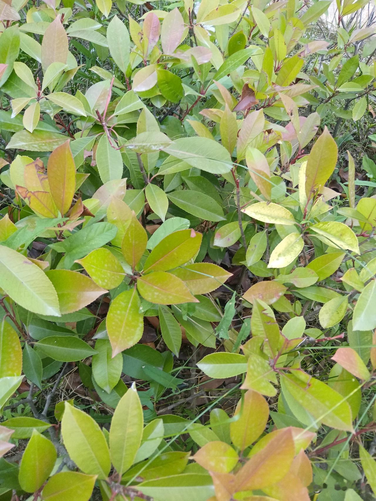 炒股，不要把钱当钱看！
股市里的钱，不是钱。一天可能亏几千块，顶半个月工资。可能