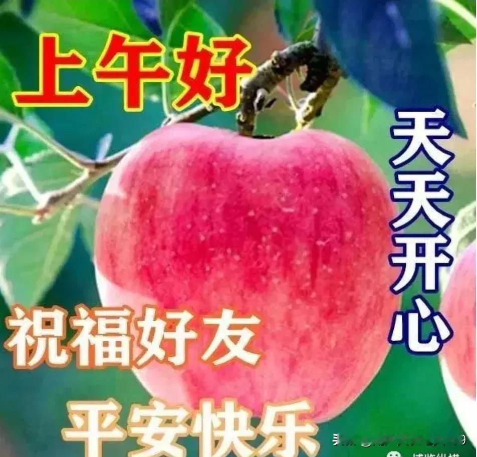 上午好友！周日快乐！
幸福生活！平安喜乐！
事事顺心！开心每天！
[赞][赞][