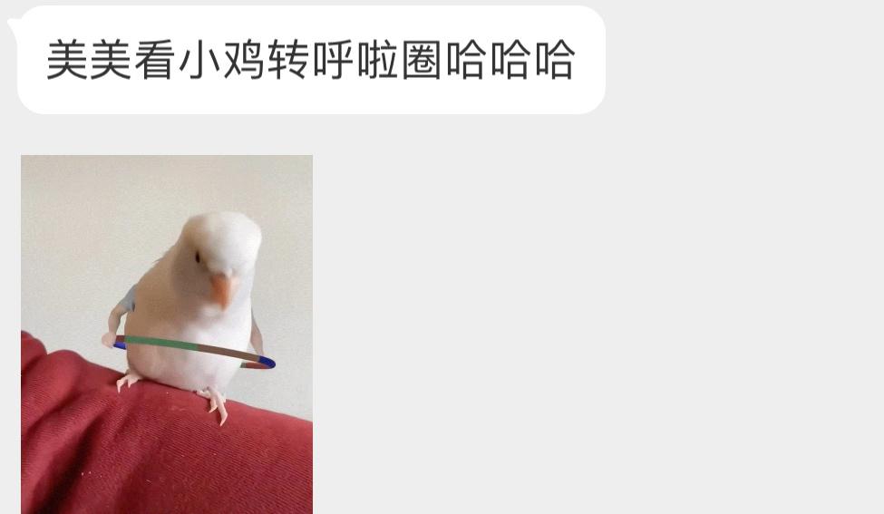 ？？？毫无违和感 ​​​