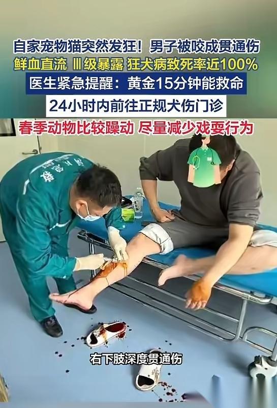 “太吓人了！”近日，河南一男子养了只猫，当时他在家时，猫突然发狂，对他猛烈攻击，