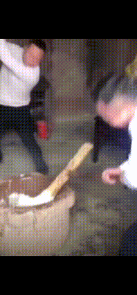钟辰乐演出结束后可以吃个打糕 