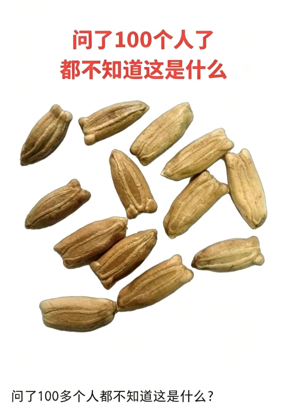 我敢打赌！全网90%的人都不认识这是什么东西，问了100个人了，都没一个知道的，