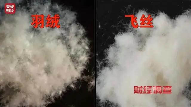 11月24日，央视《财经调查》揭露了一场羽绒制品骗局，你的孩子可能正在穿着这些假