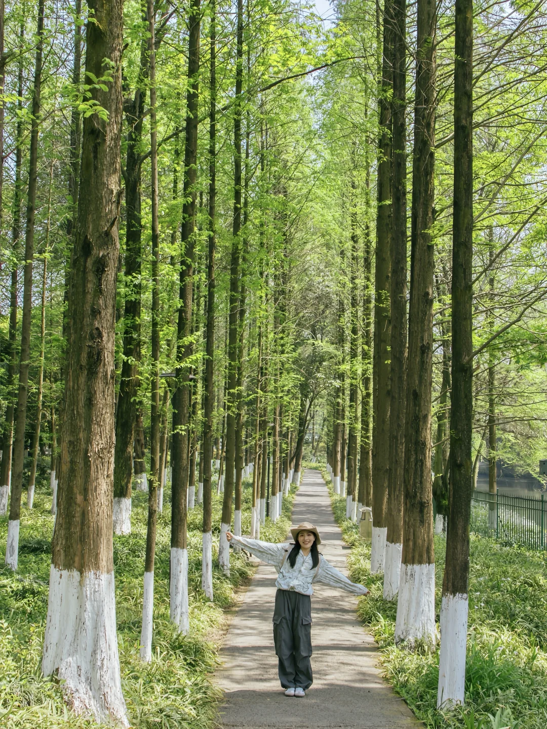 成都地铁直达！想去无数次的免费徒步路线…