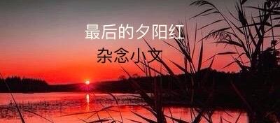 🔥【汗与泪的交响乐，你我都是生活的大导演！】🔥

想象一下，生活就像那块咱们