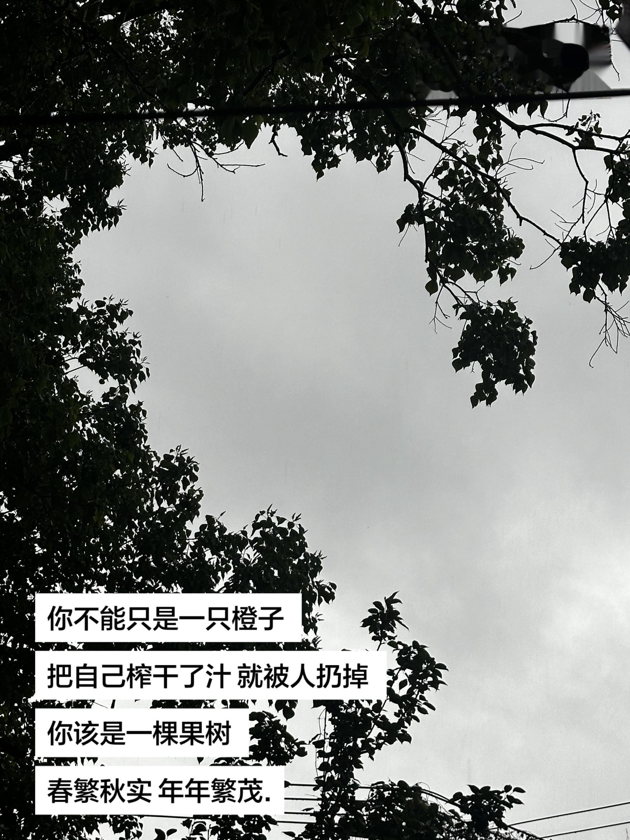 你更应该是一粒种子 埋在土壤里 吸收养分.