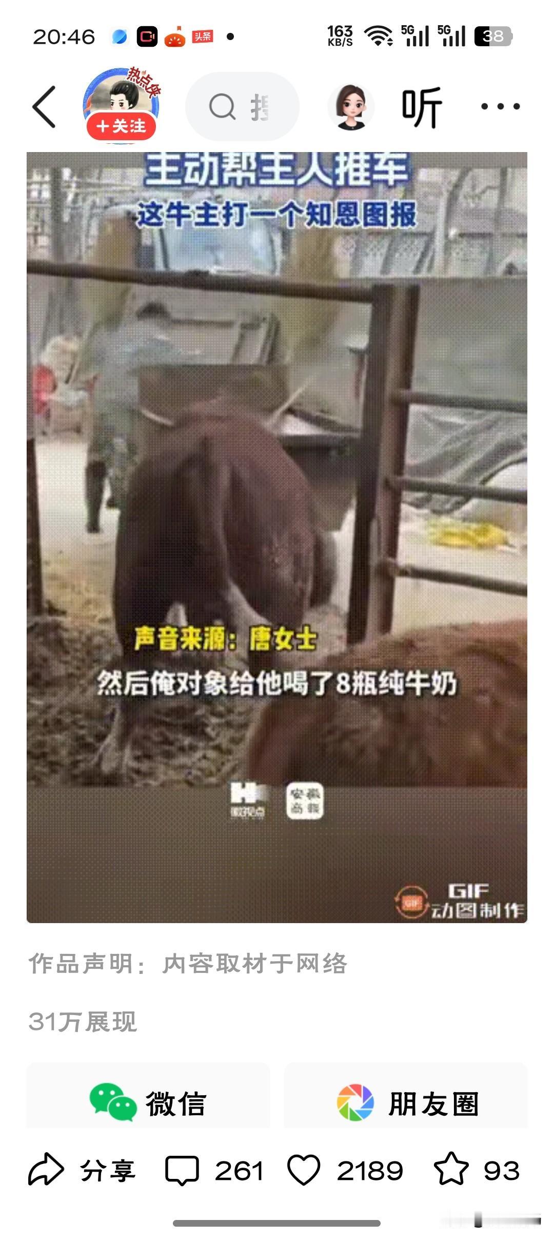 有哪些动物是比较通人性的 你遇见过通人性的动物吗有时觉得它们眼里倒映的，才是人类