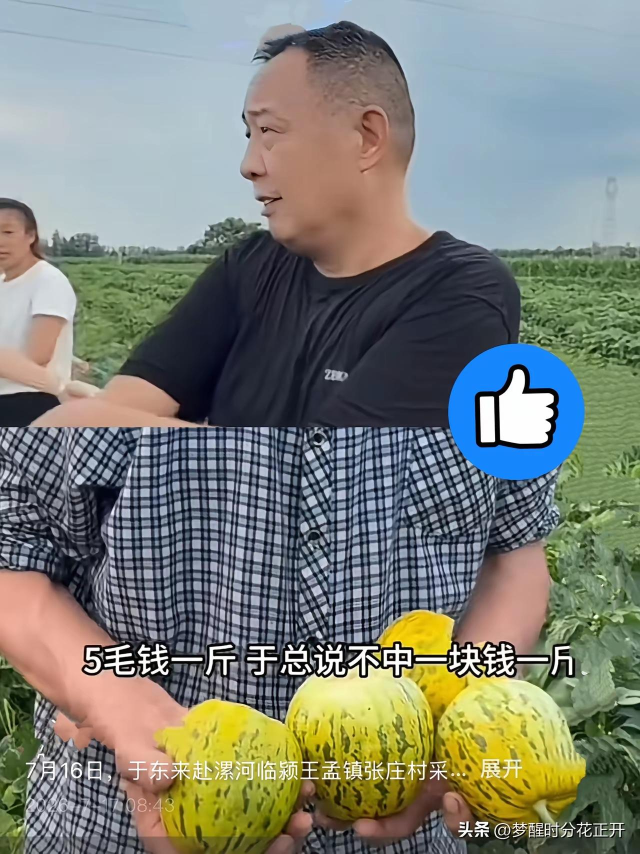 我真服了，
于东来到底会不会做生意？
报价5毛的甜瓜，为啥他非要给1块？
​刷到