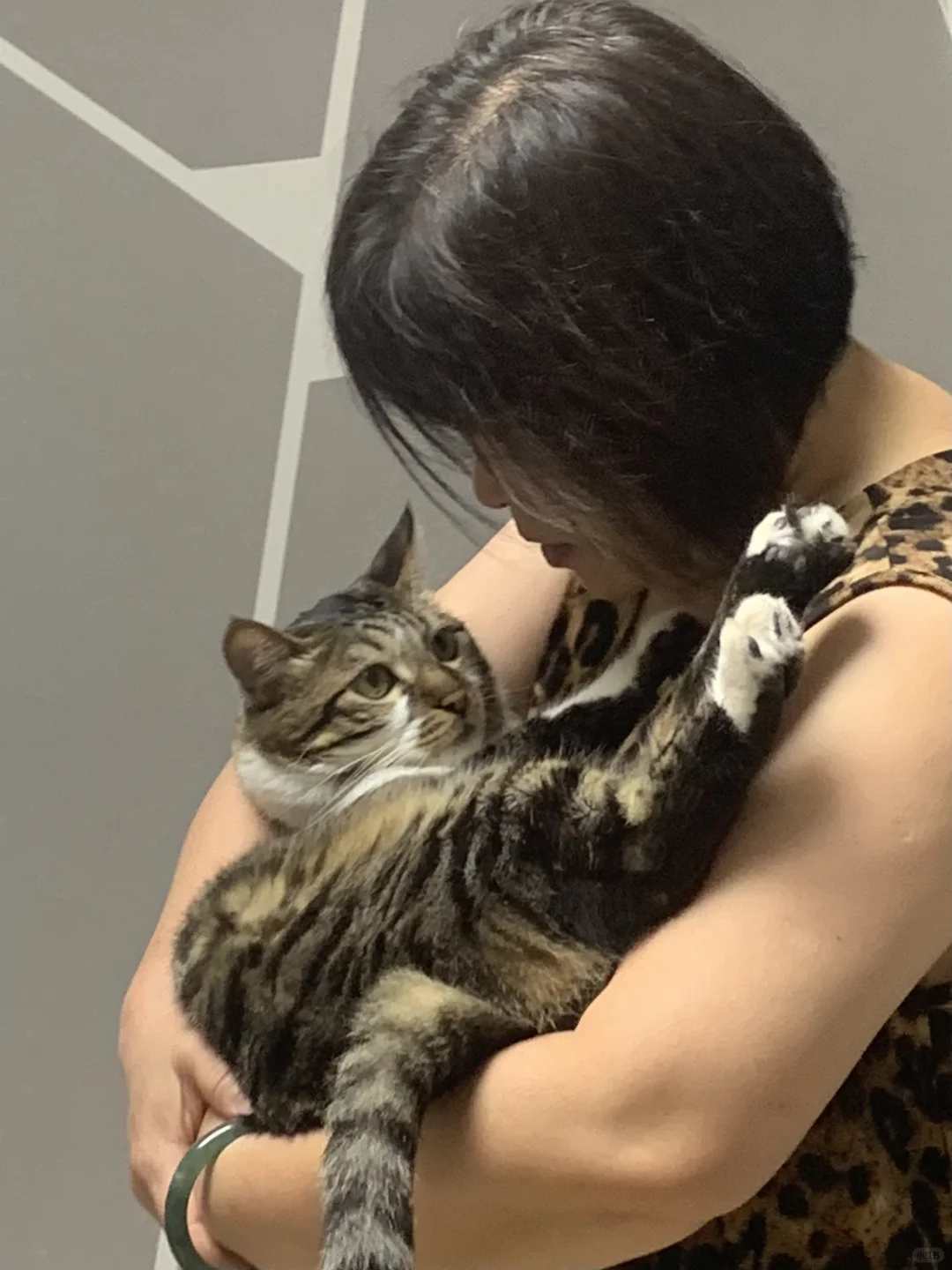 睡前哄会儿孙子