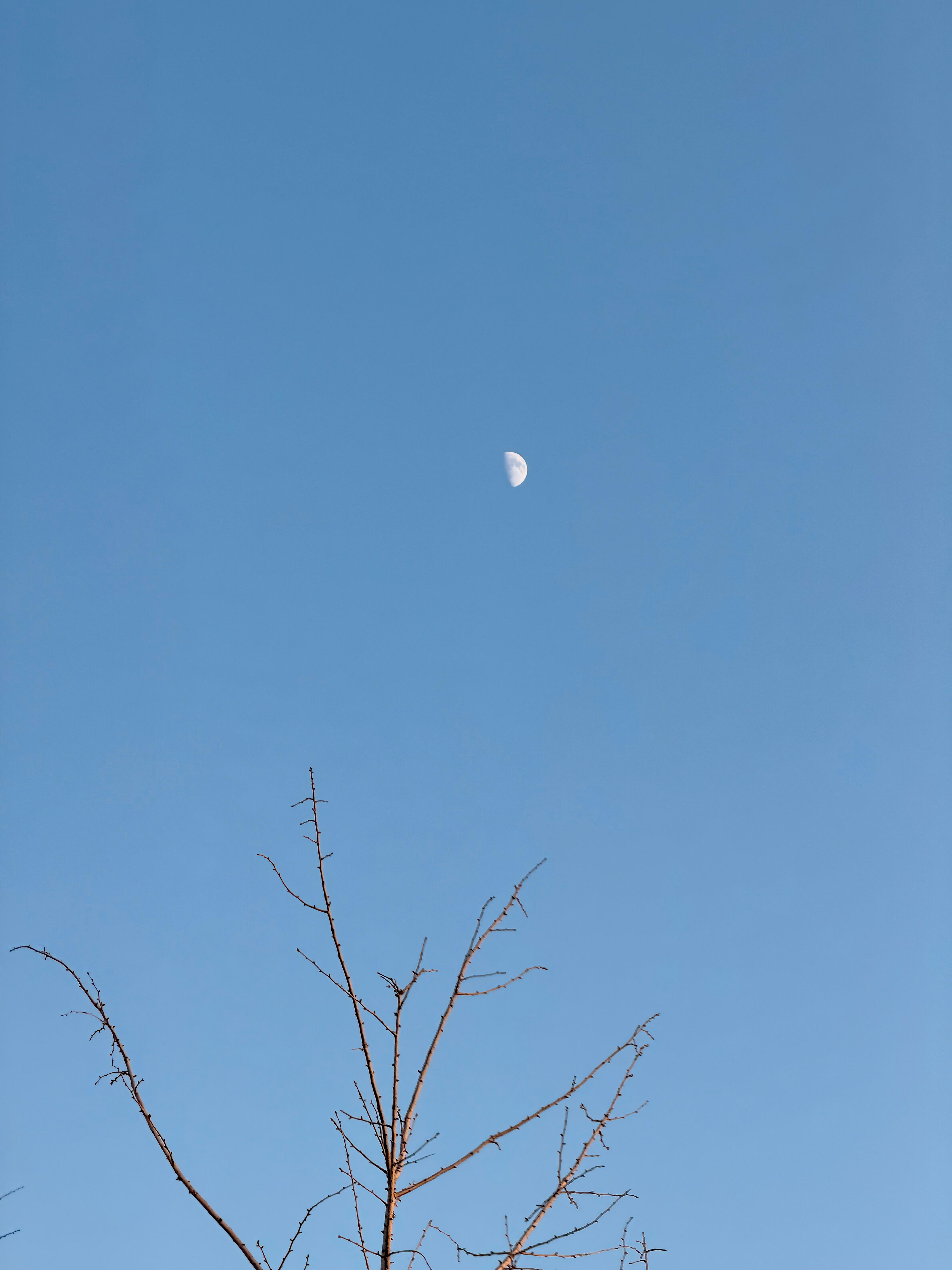 🌟𝙤𝙤𝙤𝙤𝙤𝙔𝙚 .ᐟ.ᐟ 🛫按自己的节奏做喜欢的事 