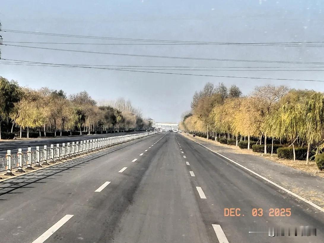 “树高千尺不忘根，人若辉煌不忘本”，

今天刷短视频，看到里面有这样两句话，说得