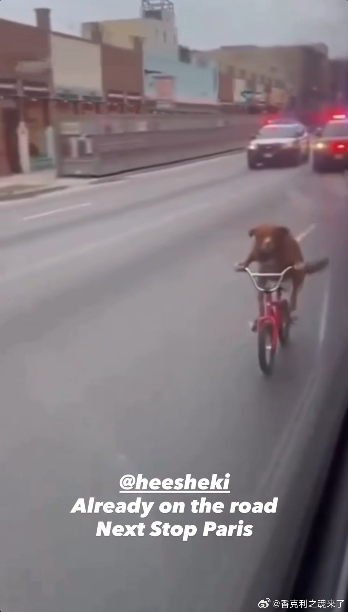 埃基蒂克ins转发了这段视频：已经在路上了，下一站巴黎 利物浦