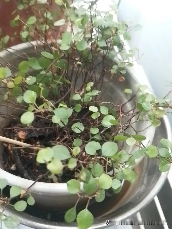 中日军事力量对比如何根本没有对比的必要，现在的日本和当今的中国完全不在一个等级了