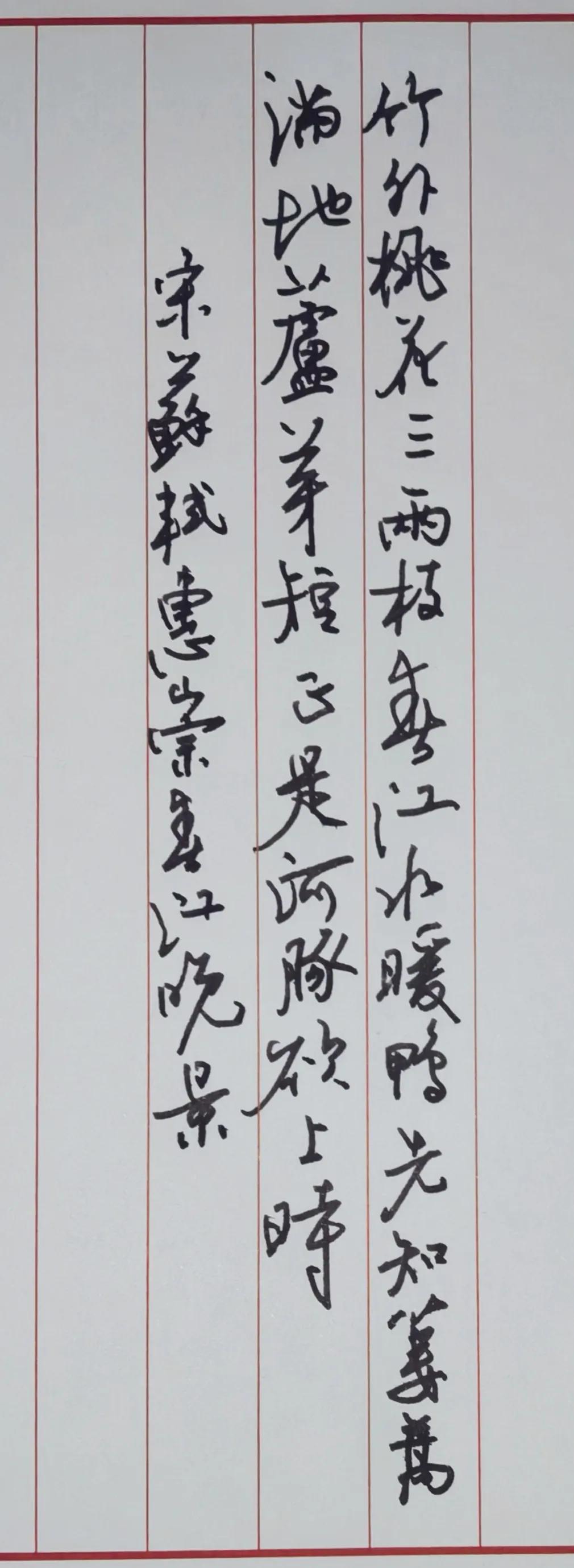 钢笔抄写古诗 
苏轼《惠崇春江晚景》
竹外桃花三两枝，春江水暖鸭先知。
蒌蒿满地
