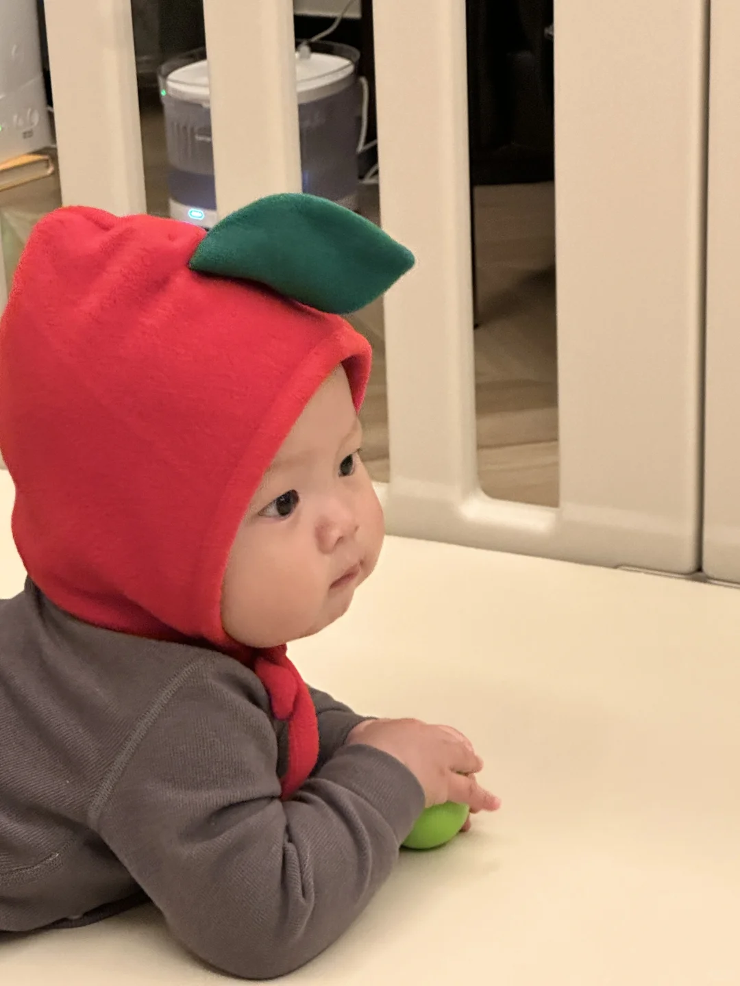 🍎苹果仔