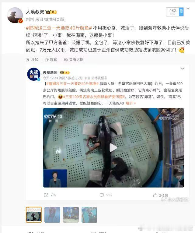 #生命大于责任# 大漠老师也在用荣耀手机，挽救海洋动物，荣耀捐赠67800元[赞