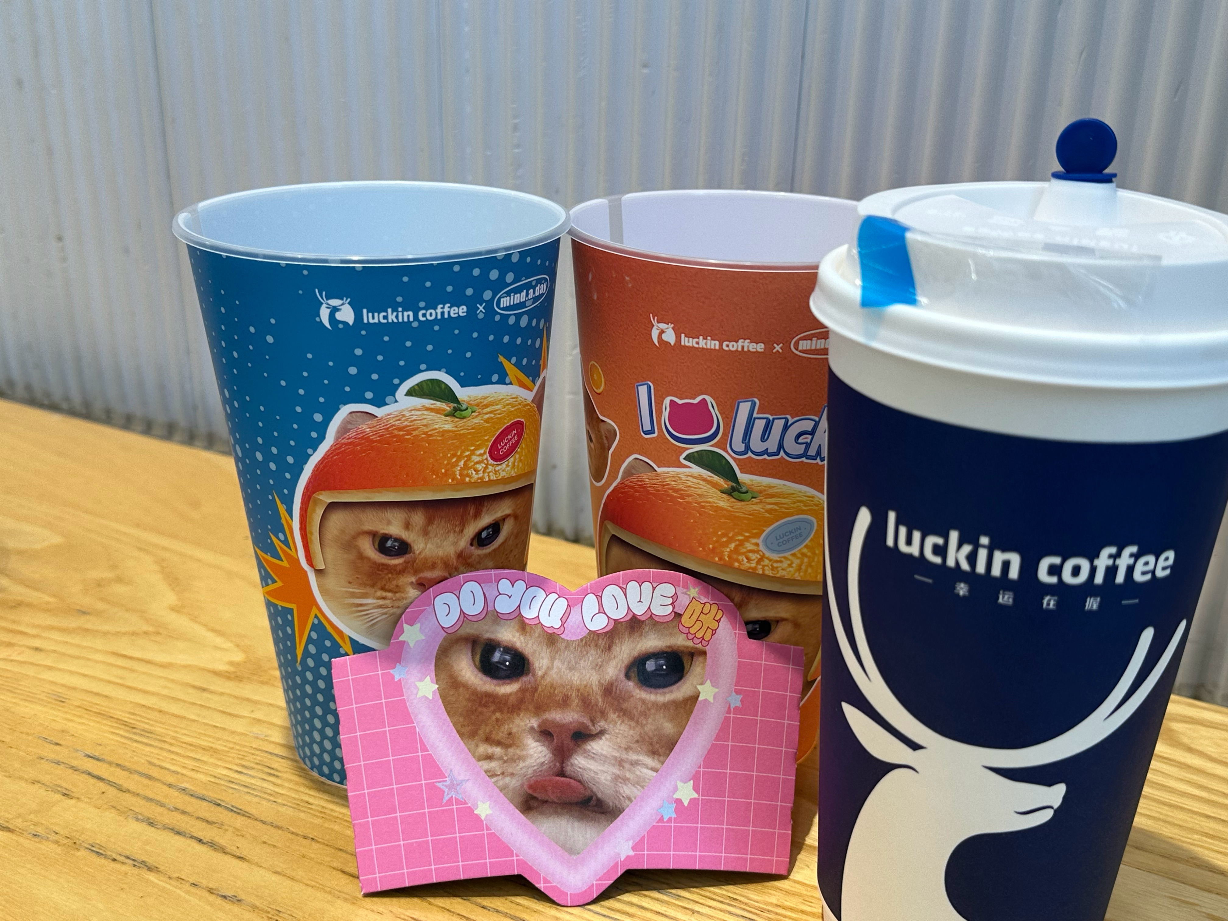 小哥哥很善良，给了两个猫猫杯。 ​​​