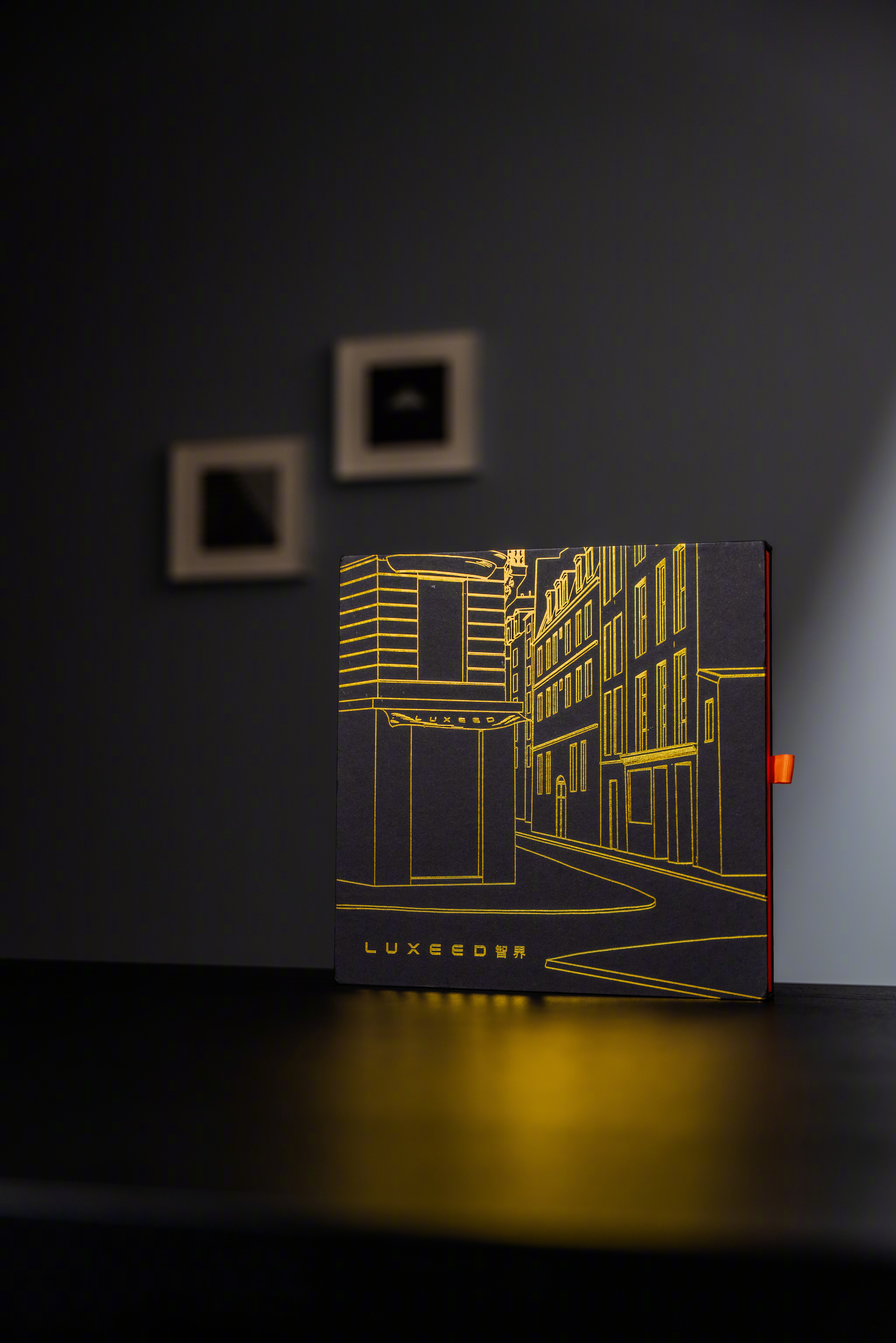 刚刚收到智界寄来的限量款丝巾礼盒，这条爱马仕插画师Karlotta Freier