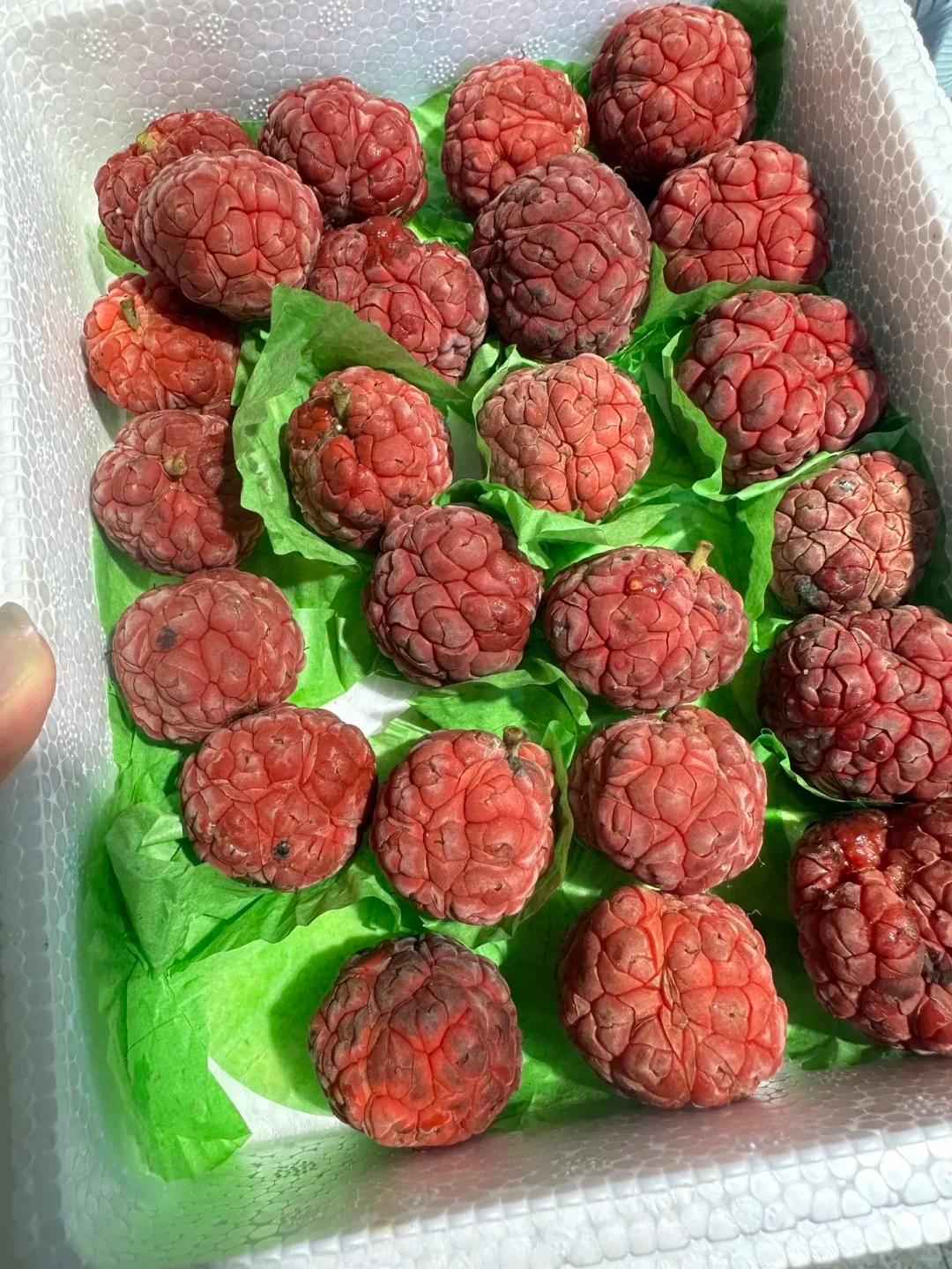 这是什么水果？ ​​​