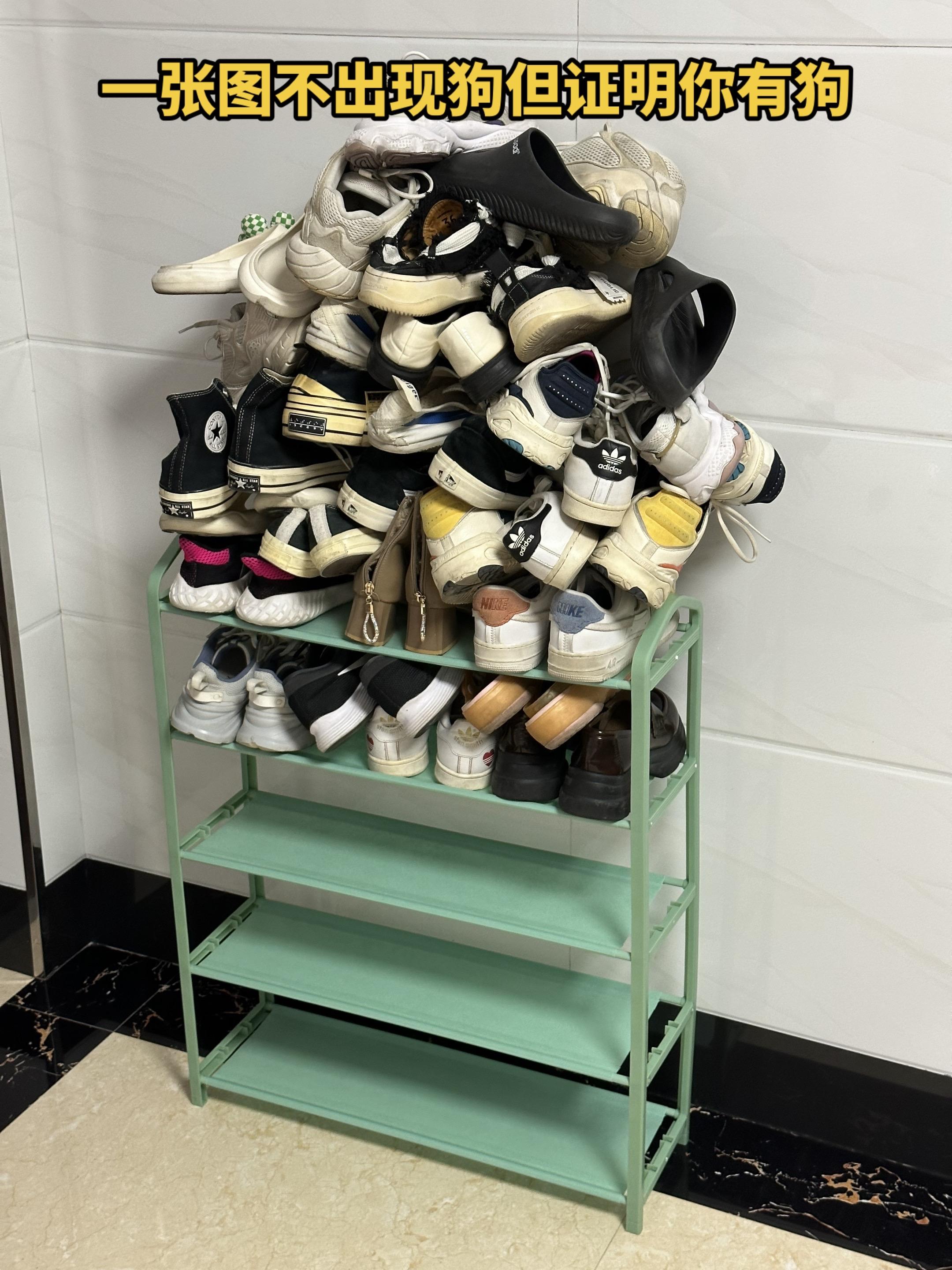 养狗的人都能懂吧…