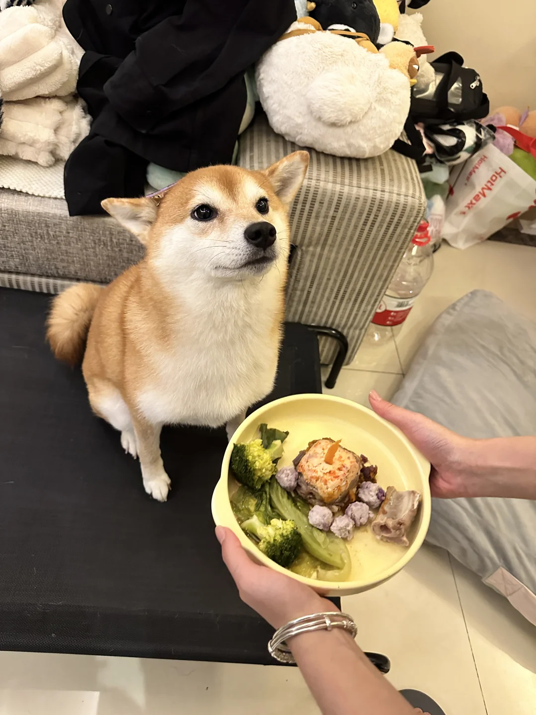 今天是六岁的第一天