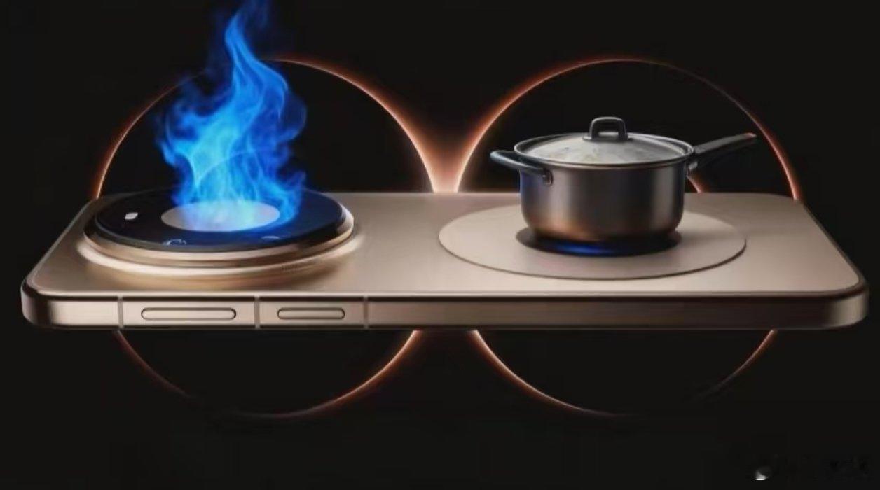 有人说， 背部第二个圈是电磁炉，做饭用的